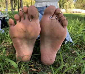 欧美在线播放视频在线观看_正片免费观看